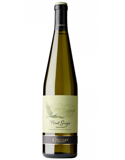 6 Pinot Grigio Trentino D.O.C