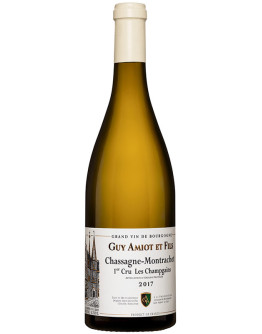 Chassagne Montrachet 1er Cru Les Champgains 2022