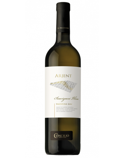 6 Sauvignon Bianco Trentino D.O.C "Arjent"