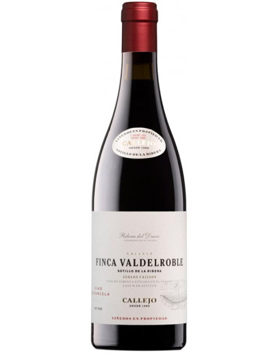 Ribera del Duero 2021 - Finca Valdelroble