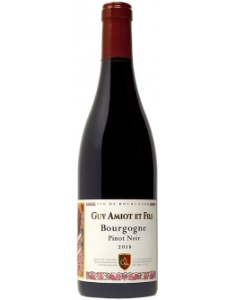 Bourgogne Pinot Noir Cuvee Simone 2021 Magnum