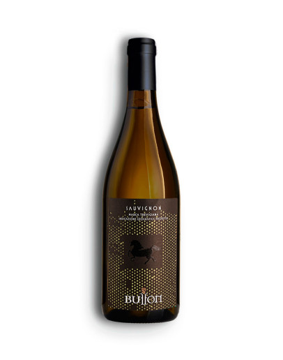 6 Sauvignon IGP Marca Trevigiana