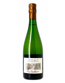 Champagne Les Caillasses Millesime 2011 Extra Brut