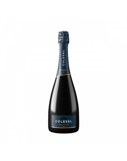 Cartizze docg Brut Millesimato