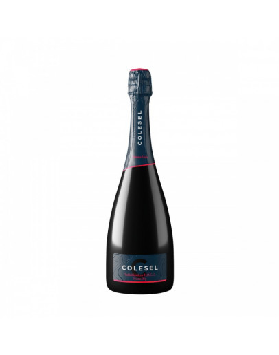 Prosecco Superiore docg Extra Dry - Fontana Vecia Magnum