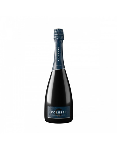 Prosecco SuperioreValdobbiadene Brut docg - Prato Scuro