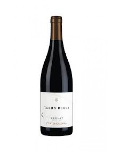 Merlot Colli Berici igt - Rubea