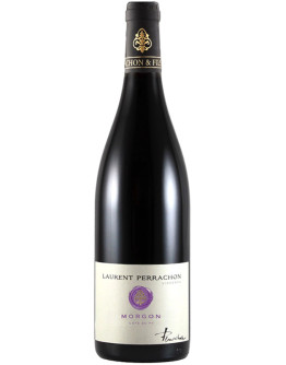 Morgon 2023 - Cote du Py