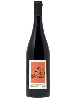 Pineau D' Aunis 2022 - sans les mains