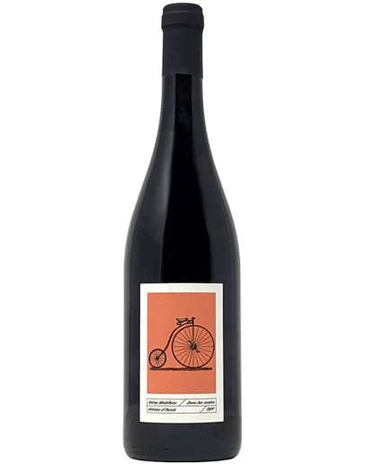 Pineau D' Aunis 2022 - sans les mains