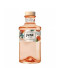 Gin G'Vine June Pesca
