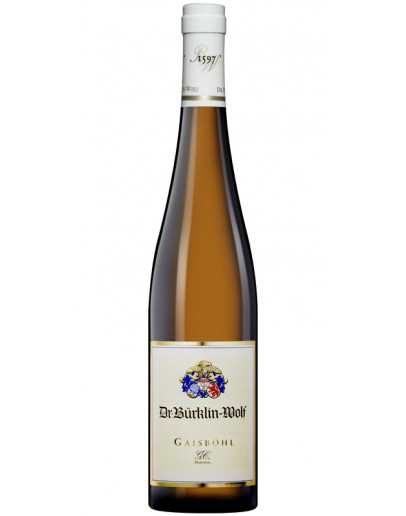 Gaisbohl G.C.  Magnum 2021