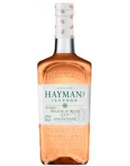 Gin Hayman's Peach Rose