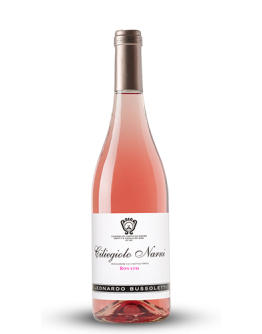 12 Ciliegiolo di Narni Rosato igt Bio