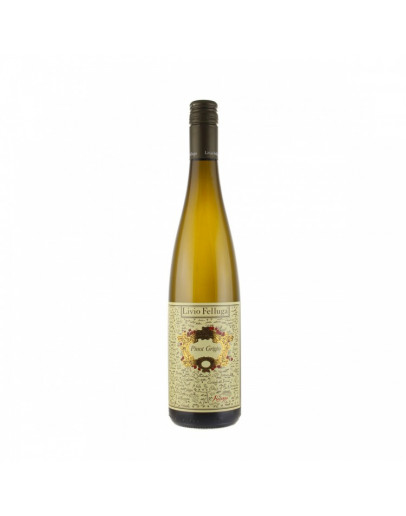 Pinot Grigio doc