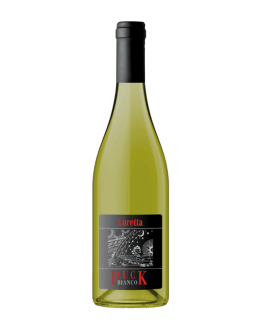6 Puck Bianco