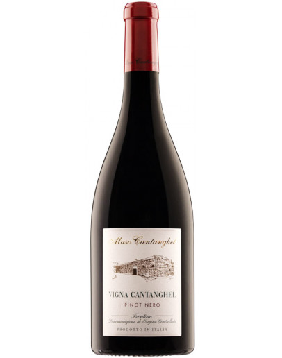 Pinot Nero doc 2022 - Vigna Cantanghel