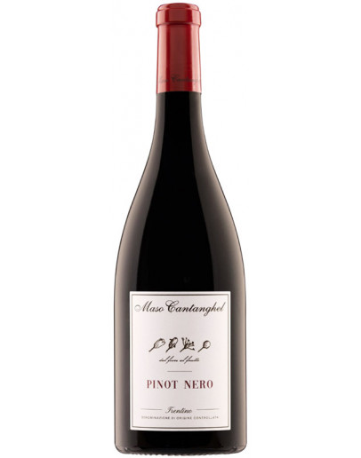 6 Pinot Nero doc 2023