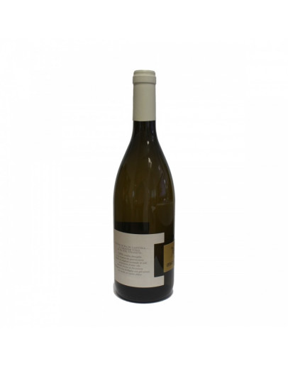 Malvasia igp