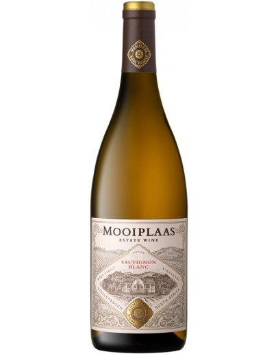 Sauvignon Blanc Stellenbosch 2022