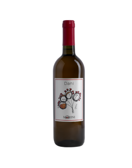 6 Vino Bianco Orange Wine - Dani