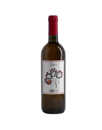 6 Vino Bianco Orange Wine - Dani