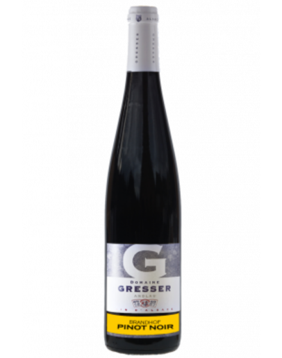 Pinot Noir 2023 - Brandhof