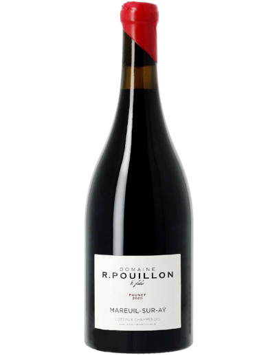 Coteaux Champenois Rouge 2022 - Paunet Magnum