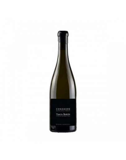 Blend Shiraz  Merlot - Conàmore