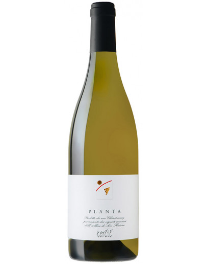 Chardonnay igt 2021 - Planta