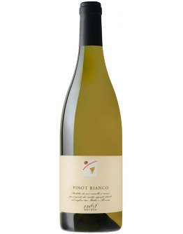 Pinot Grigio doc 2016