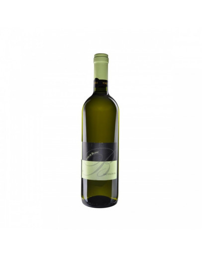 Sauvignon igt