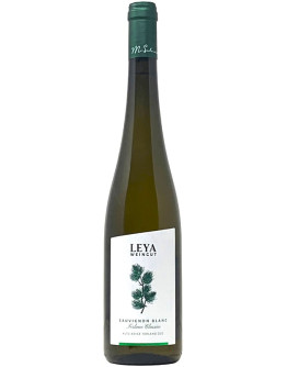 Sauvignon Blanc Terlano Classico doc 2024