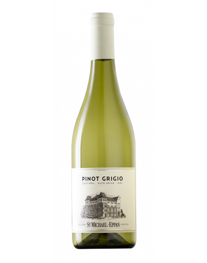 Michael Pinot Grigio
