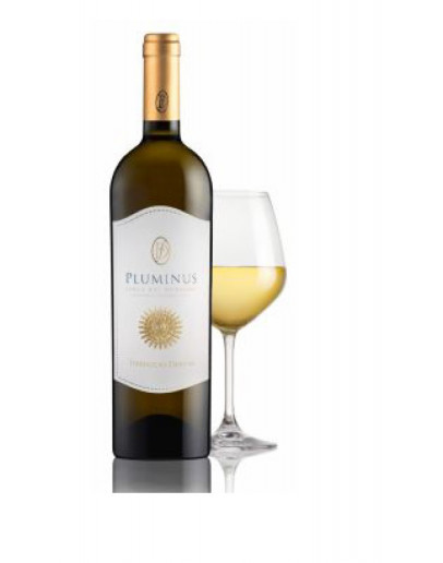 6 Isola dei Nuraghi I.G.T. Bianco Pluminus