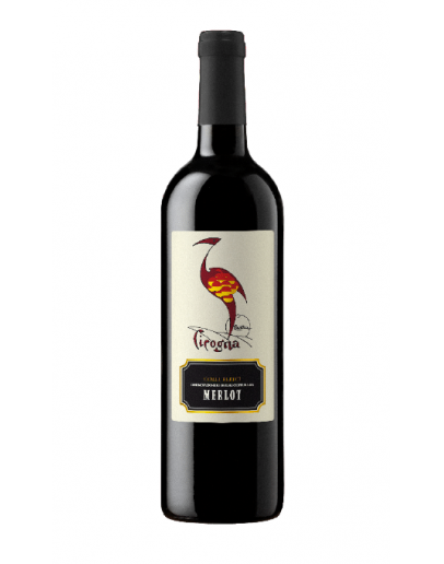 Merlot Colli Berici doc - Cicogna Magnum