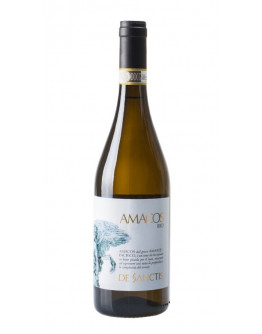 6 Frascati Superiore igt 2022 - Amacos