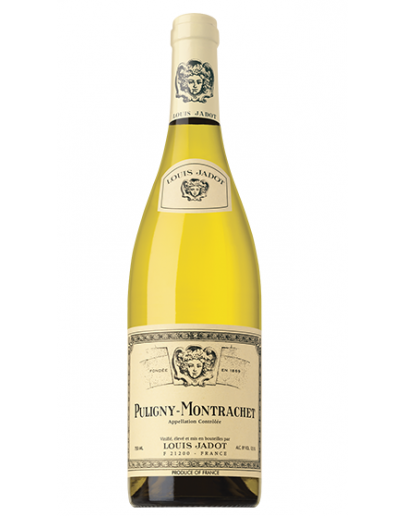 Chassagne Montrachet 2020