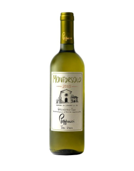 6 Grechetto di Todi doc 2023 - Montorsolo