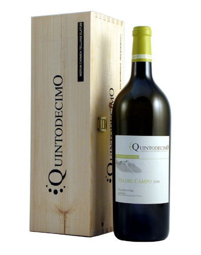 Falanghina Irpinia doc 2024 - Via del Campo Magnum in cassa