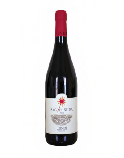 Sangiovese di Predappio Riserva doc 2019 - Raggio Brusa