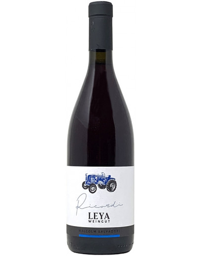 6 Schiava Meranese Alto Adige doc 2023 - Ricordi etichetta blu
