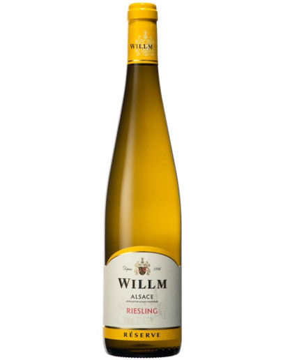 6 Riesling Bio 2023