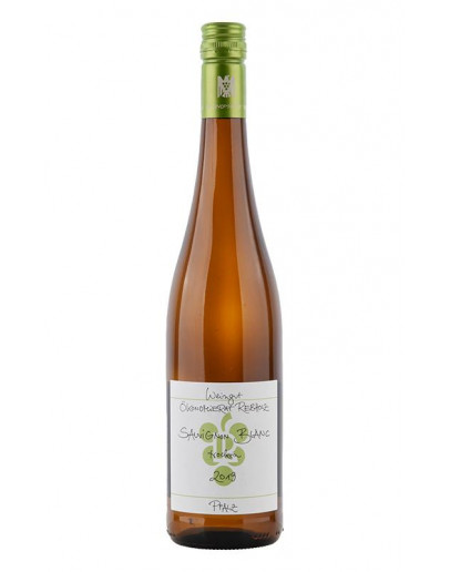 Sauvignon Blanc Kabinett 2008