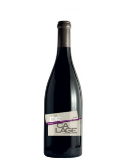6 Vieux Carignan Vin De France 2015
