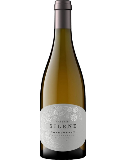 Chardonnay Capensis Silene Stellembosch 2024 Chardonnay Capensis Silene Stellembosch 2024