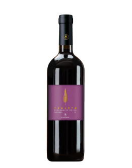 Bergamasca Rosso igt 2022 - Augusto