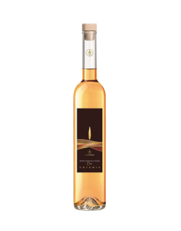 Grappa di Moscato di Scanzo Oro - Antonia