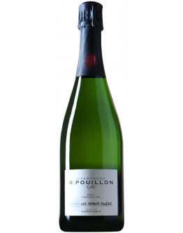 Champagne R. Pouillon & Fils Extra Brut 2019 - Les Terres Froides Magnum