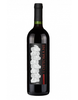 Chianti Superiore docg Bio